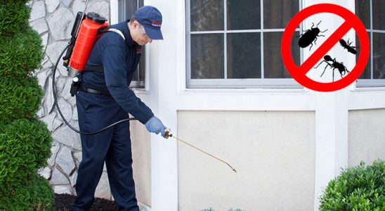 Göztepe Akrep İlaçlama böcek ilaçlama ve haşere kontrolü — ilaclama-tr.com
